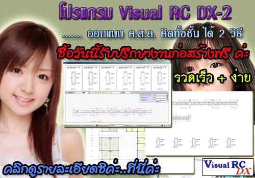 Visual RC DX-2