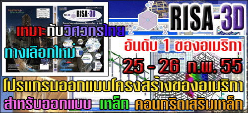 �͡Ẻ�ç���ҧ��������� RISA 3D
